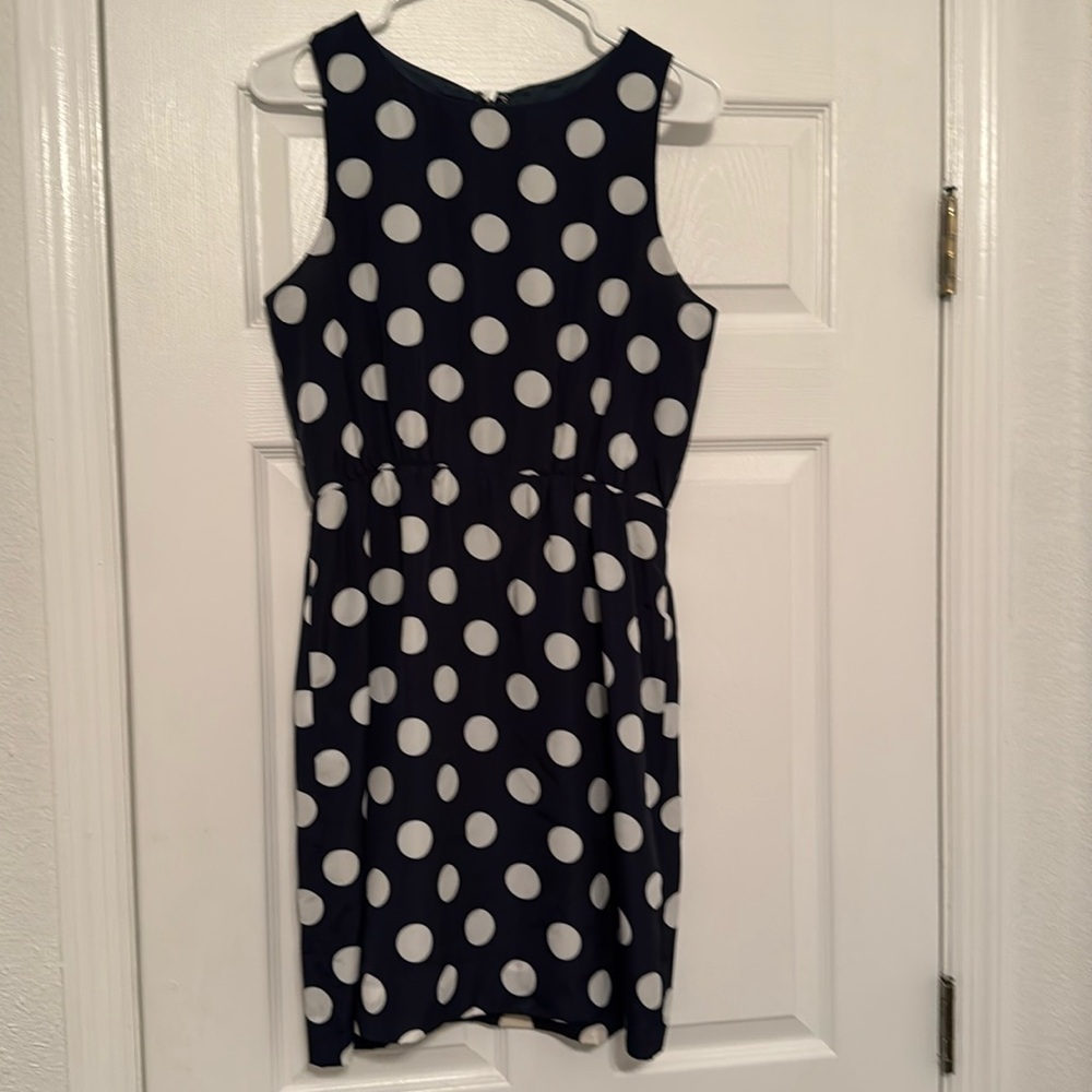 J. Crew Polka Dot Dress